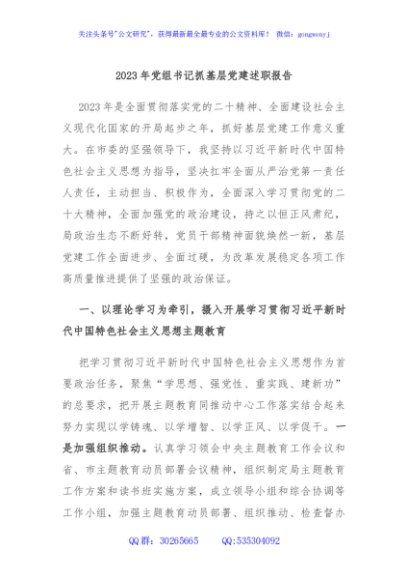 2023年党组书记抓基层党建述职报告