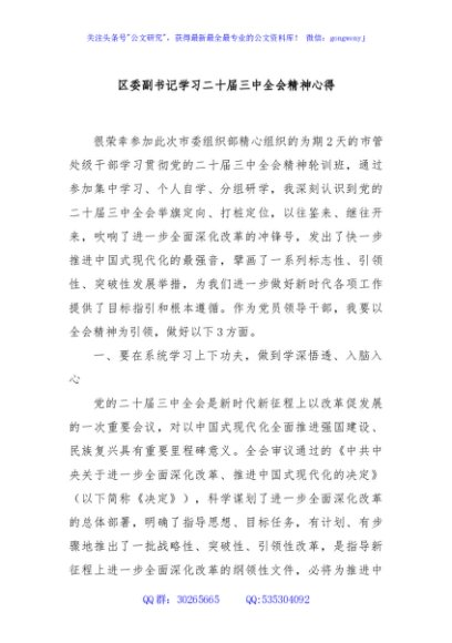 区委副书记学习二十届三中全会精神心得