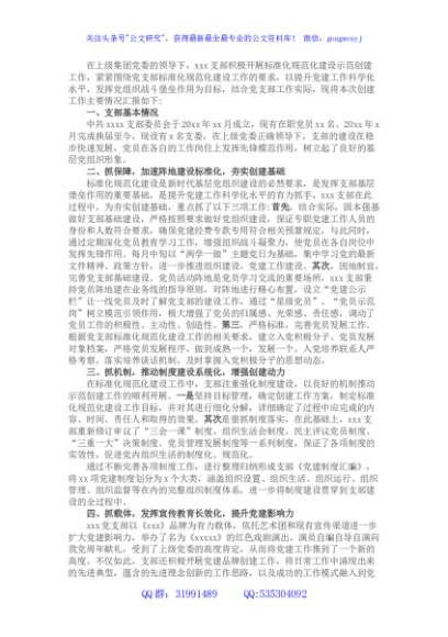 基层党支部标准化规范化建设情况汇报