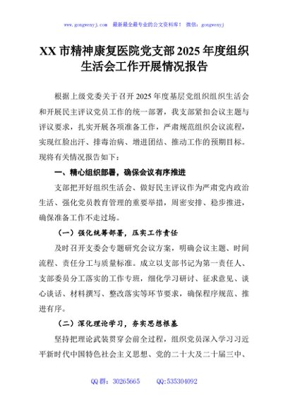 XX市精神康复医院党支部2025年度组织生活会工作开展情况报告