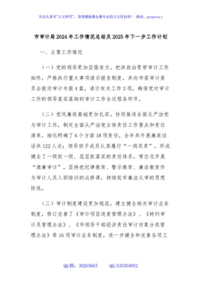 市审计局2024年工作情况总结及2025年下一步工作计划