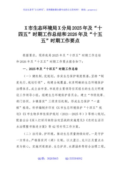 X市生态环境局X分局2025年及“十四五”时期工作总结和2026年及“十五五”时期工作要点