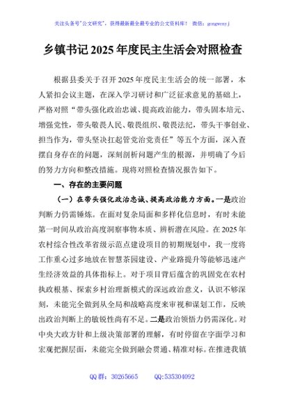 乡镇书记2025年度民主生活会对照检查
