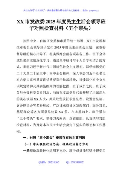 XX市发改委2025年度民主生活会领导班子对照检查材料（五个带头）