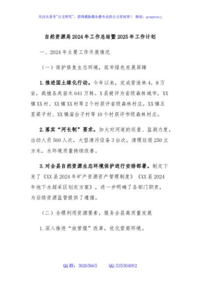 自然资源局2024年工作总结暨2025年工作计划
