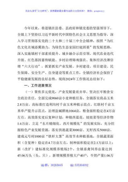 乡镇2024年工作总结及2025年工作计划6篇
