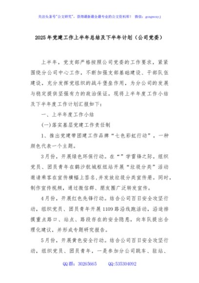 2025年党建工作上半年总结及下半年计划（公司党委）