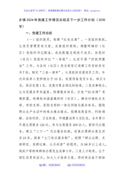 乡镇2024年党建工作情况总结及下一步工作计划（3230字）