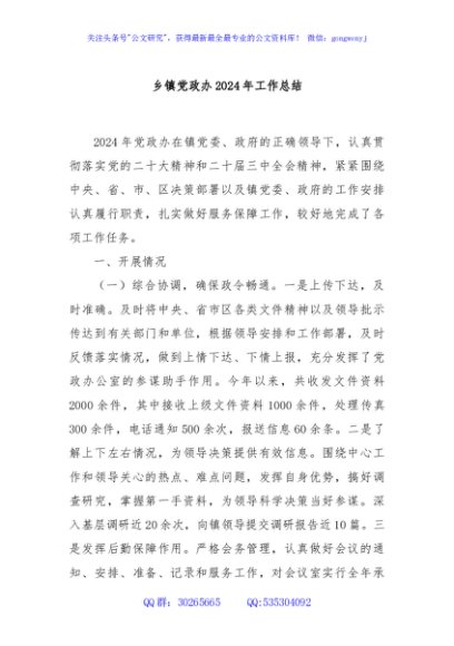 乡镇党政办2024年工作总结