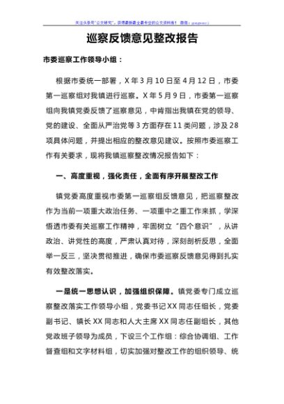 巡察（巡视）反馈意见整改报告