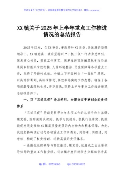 XX镇关于2025年上半年重点工作推进情况的总结报告