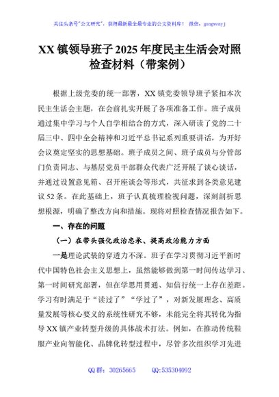 XX镇领导班子2025年度民主生活会对照检查材料（带案例）