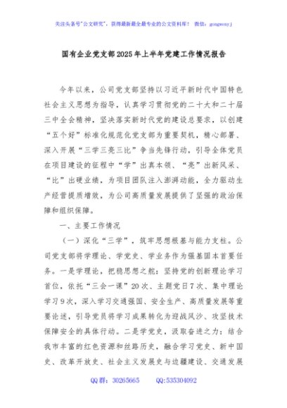 国有企业党支部2025年上半年党建工作情况报告