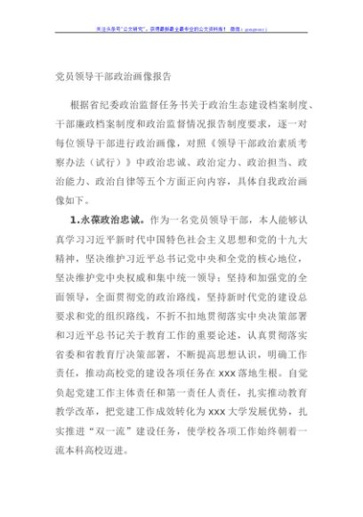 党员领导干部政治画像报告