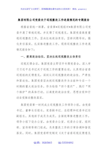 集团有限公司党委关于巡视整改工作进展情况的专题报告