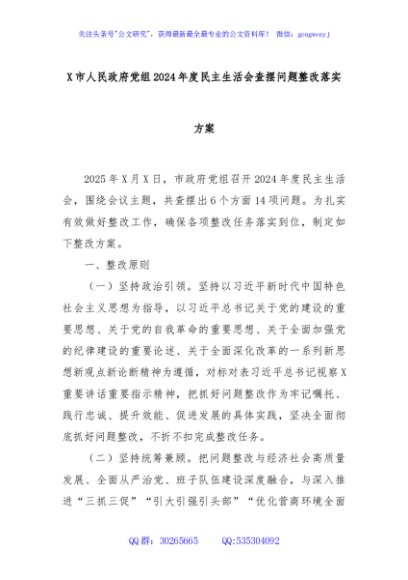 X市人民政府党组2024年度民主生活会查摆问题整改落实方案