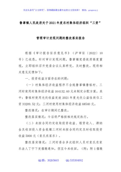 鲁掌镇人民政府关于 2021 年度农村集体经济 组织“三资”管理审计发现问题的 整改落实报告