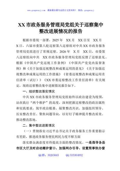 XX市政务服务管理局党组关于巡察集中整改进展情况的报告