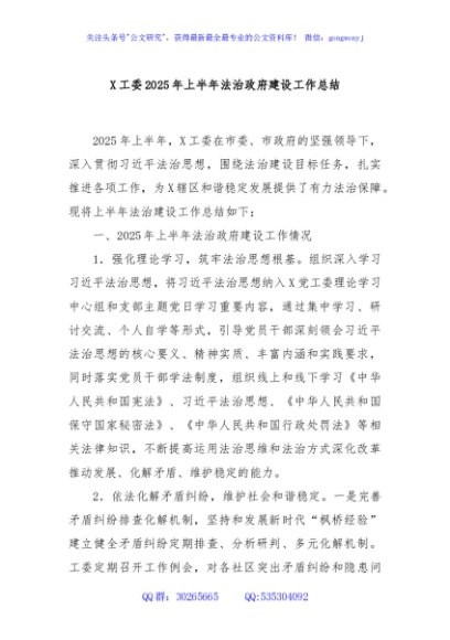 X工委2025年上半年法治政府建设工作总结
