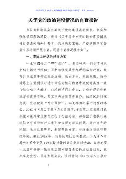 关于党的政治建设情况的自查报告