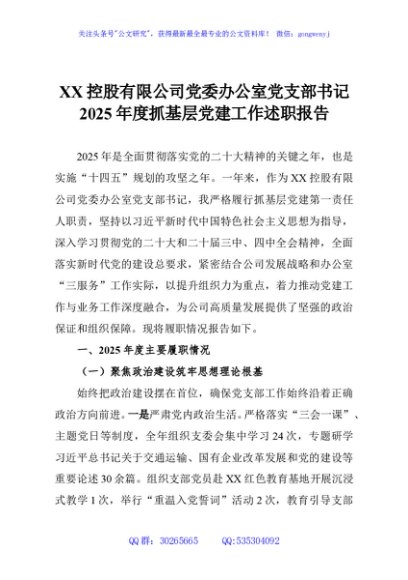 XX控股有限公司党委办公室党支部书记2025年度抓基层党建工作述职报告