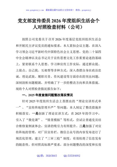 党支部宣传委员2026年度组织生活会个人对照检查材料（公司）
