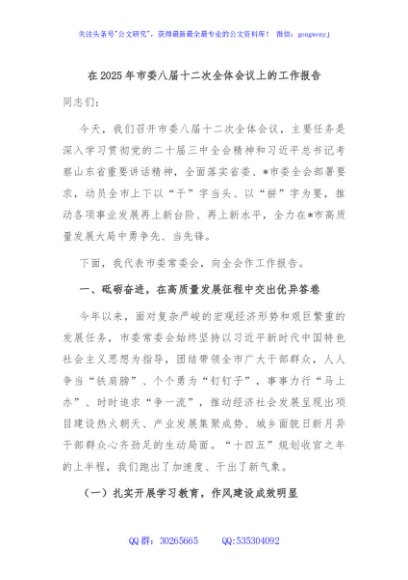 在2025年市委八届十二次全体会议上的工作报告