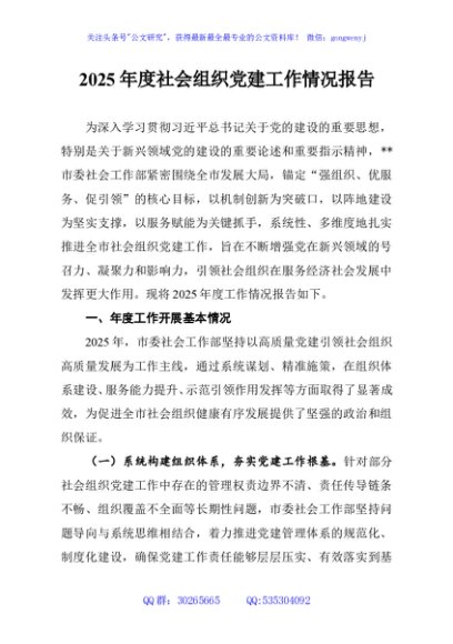 2025年度社会组织党建工作情况报告