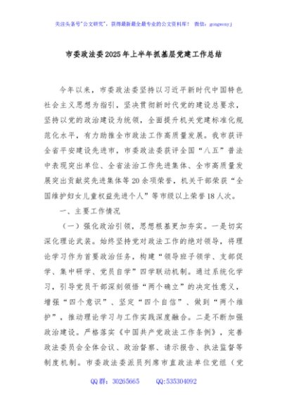 市委政法委2025年上半年抓基层党建工作总结