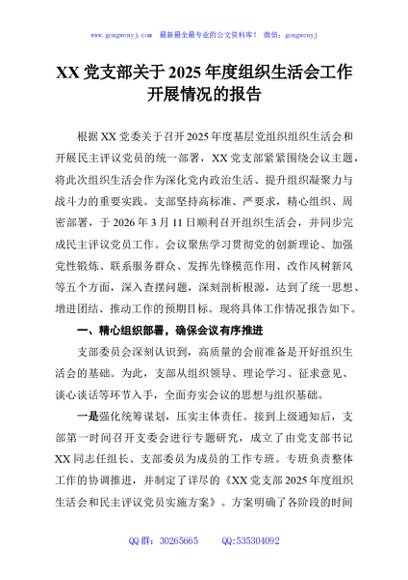 XX党支部关于2025年度组织生活会工作开展情况的报告