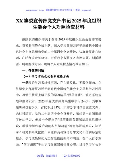 XX旗委宣传部党支部书记2025年度组织生活会个人对照检查材料