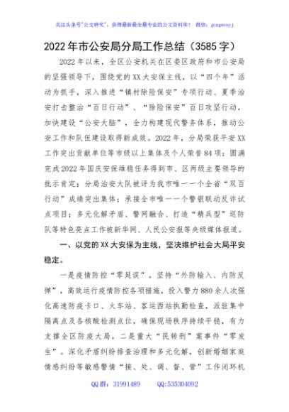 2022年市公安局分局工作总结