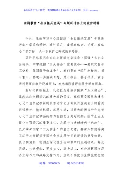 主题教育“全面振兴发展”专题研讨会上的发言材料