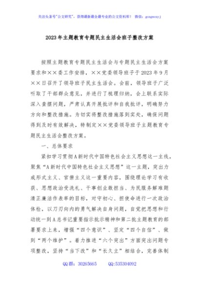 2023年主题教育专题民主生活会班子整改方案