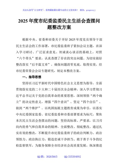 2025年度市纪委监委民主生活会查摆问题整改方案