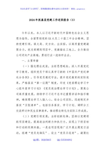 2024年抓基层党建工作述职报告（3）