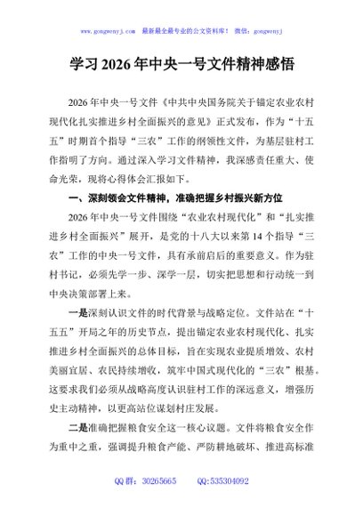 学习2026年中央一号文件精神感悟