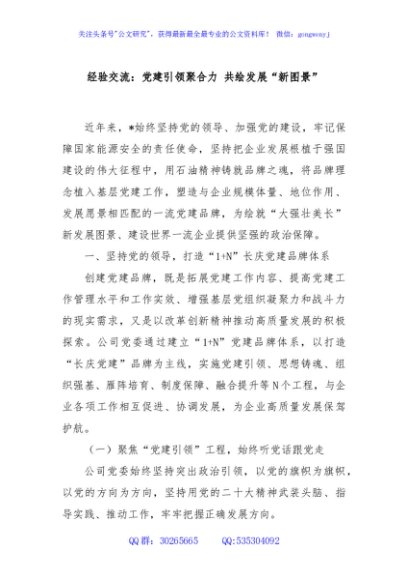 经验交流：党建引领聚合力 共绘发展“新图景”