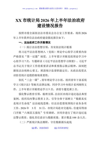 XX市统计局2026年上半年法治政府建设情况报告