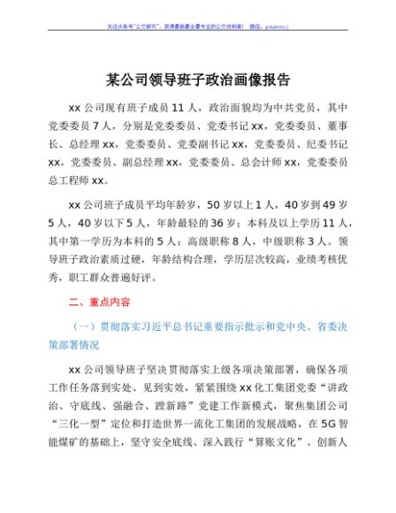 国企领导班子政治画像报告