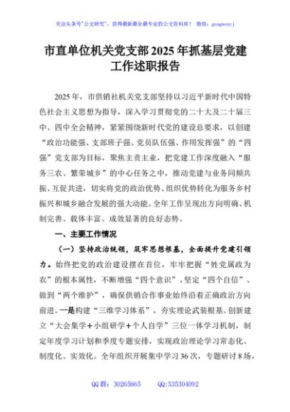 市直单位机关党支部2025年抓基层党建工作述职报告