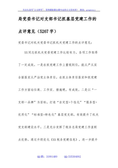 局党委书记对支部书记抓基层党建工作的点评意见