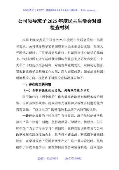 公司领导班子2025年度民主生活会对照检查材料