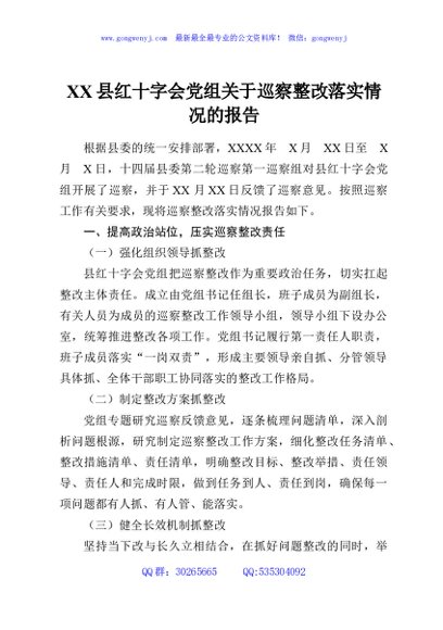 XX县红十字会党组关于巡察整改落实情况的报告