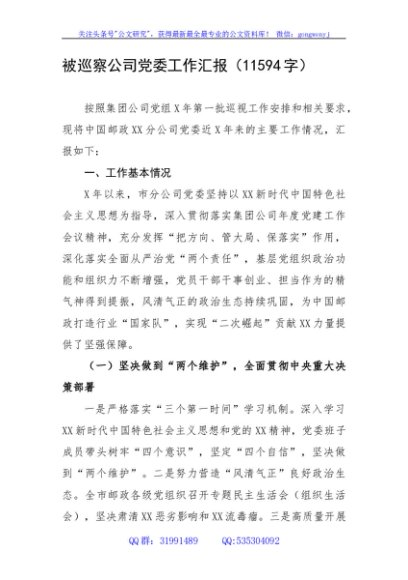 被巡察国企党委工作汇报