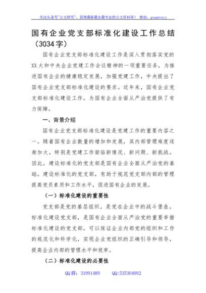 国有企业党支部标准化建设工作总结