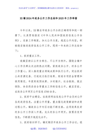 XX镇2024年政务公开工作总结和2025年工作举措