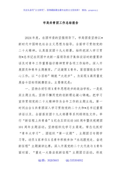 市局共青团工作总结报告