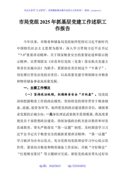市局党组2025年抓基层党建工作述职工作报告
