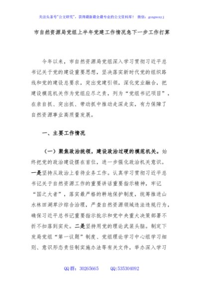 市自然资源局党组上半年党建工作情况及下一步工作打算